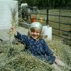 chores for fun